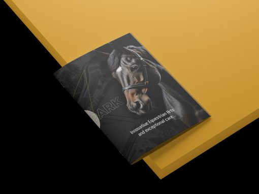 تصميم بروشور اكاديمية هورس بارك